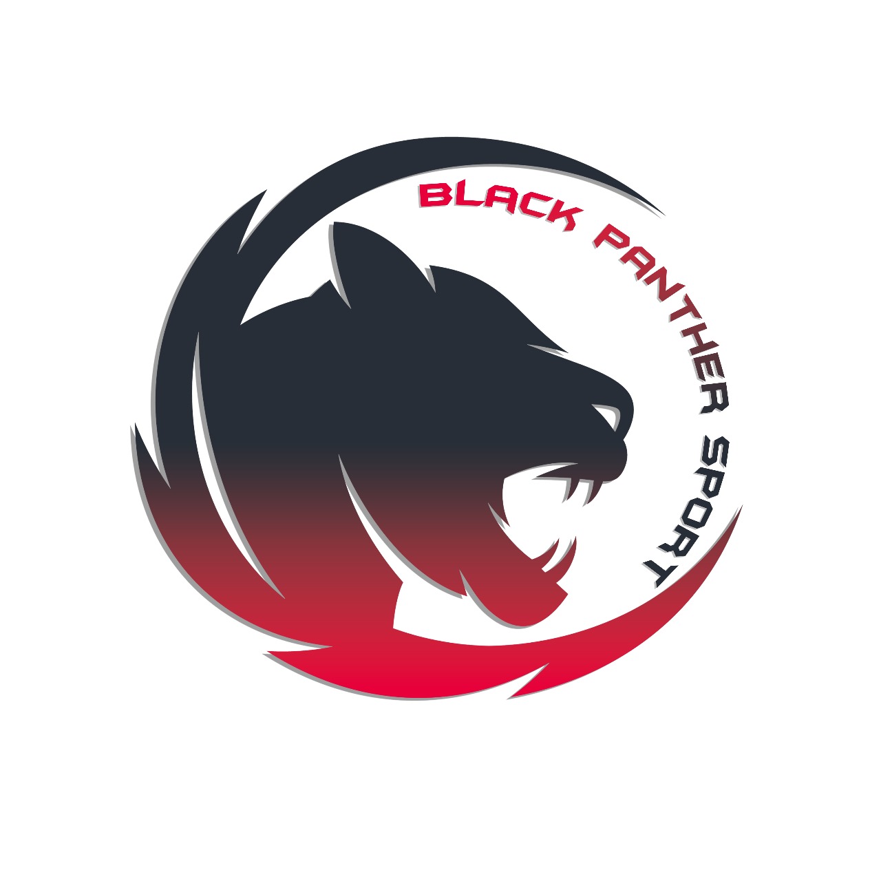 Company Image 1